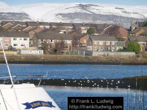 Sligo Harbour in Winter